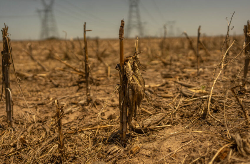 Damaging megadroughts are spreading around the world