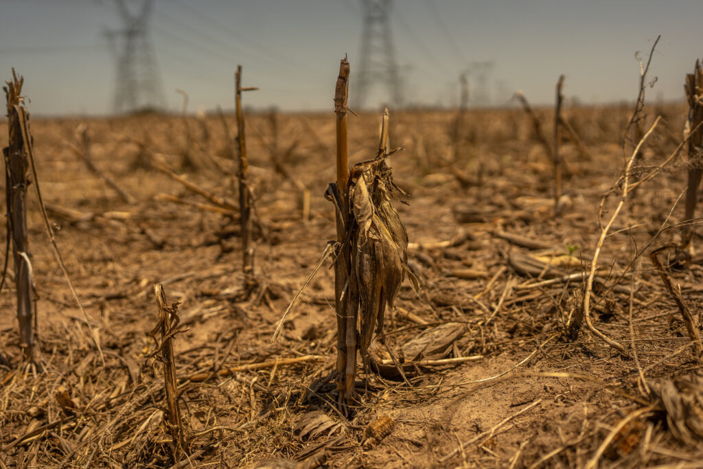 Damaging megadroughts are spreading around the world